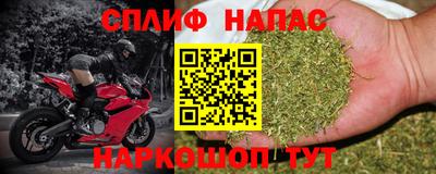 сатива Бийск