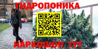 Альфа ПВП Берёзовский