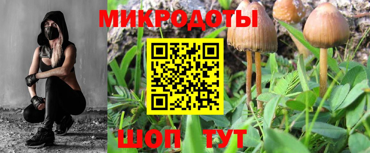 Кизилюрт  Псилоцибиновые грибы мицелий  Вход с VPN  Псилоцибиновые грибы Psilocybe 
